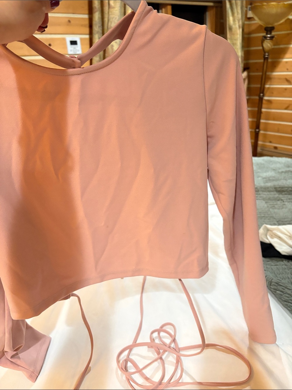 Zara Dusty Rose Long-Sleeve Cropped Tie-Back Top
